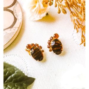 Brown Vintage Clip On Earrings